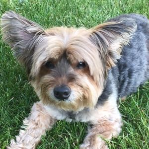 Meet your Posher, Margaret